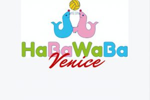habawaba venice logo grande